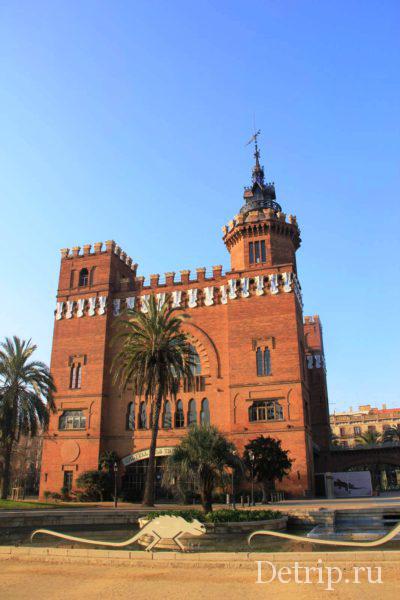 Зоологический музей разместился в замке трех драконов