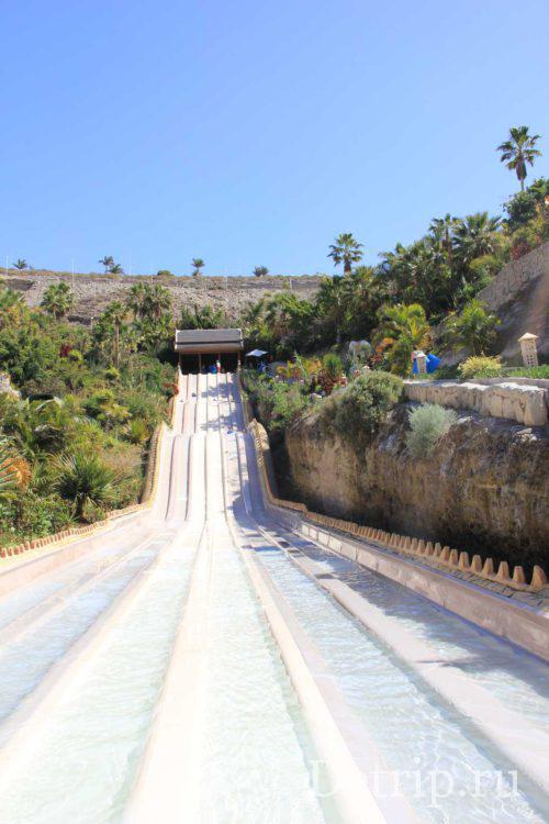 Нага рейсер