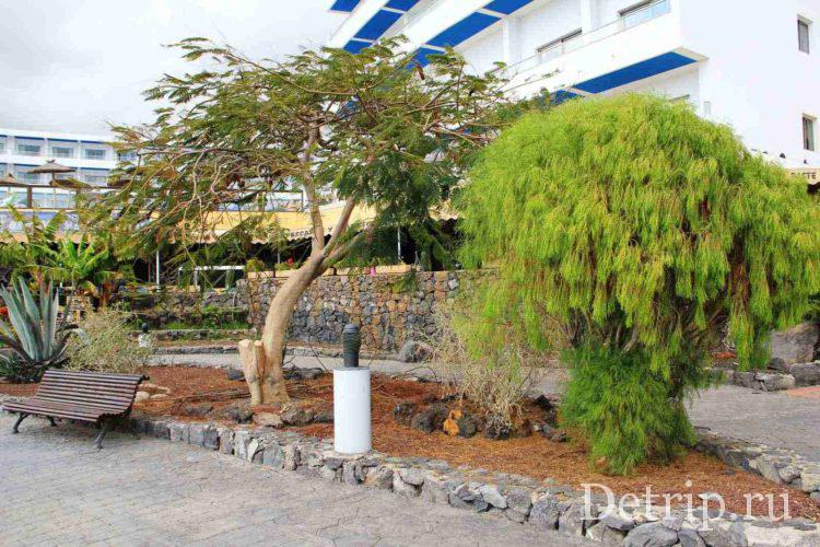 растительность