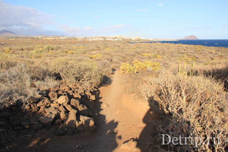 растительность