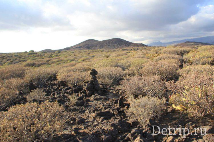 вид на природу тенерифе