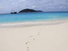 Куда поехать на новый год 2021 недорого на море: 7 лучших направлений для пляжного отдыха.