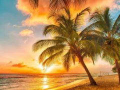 Куда поехать в январе на море искупаться и позагорать?