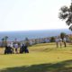 Курорты Гольф дель Сур (Golf del Sur) и Amarilla golf на Тенерифе