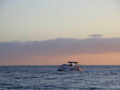 Остров Тенерифе (Канарские острова, Испания): горящие туры и цены на отдых